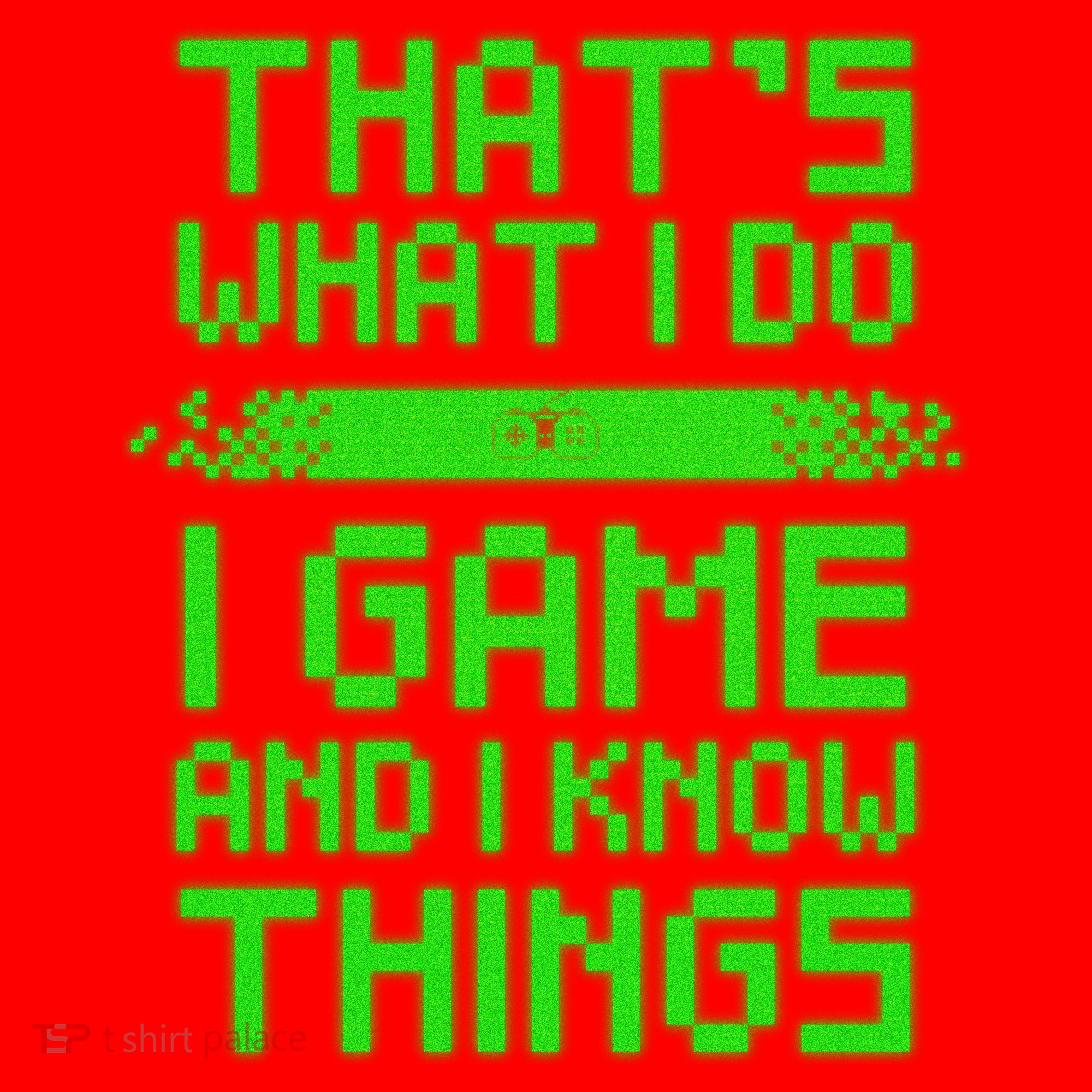 That's What I Do Play Games And I Know Things Santa Hat