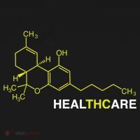 THC Healthcare Cannabis Medical Marijuana TShirt Women's Hoodie thumb 2