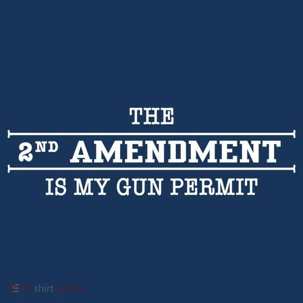The 2nd Amendment Is My Gun Permit Kids Hoodie