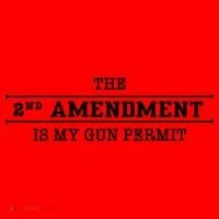 The 2nd Amendment Is My Gun Permit Santa Hat thumb 1