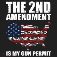 The 2nd Amendment Is My Gun Permit American Gun Flag Hat thumb 2