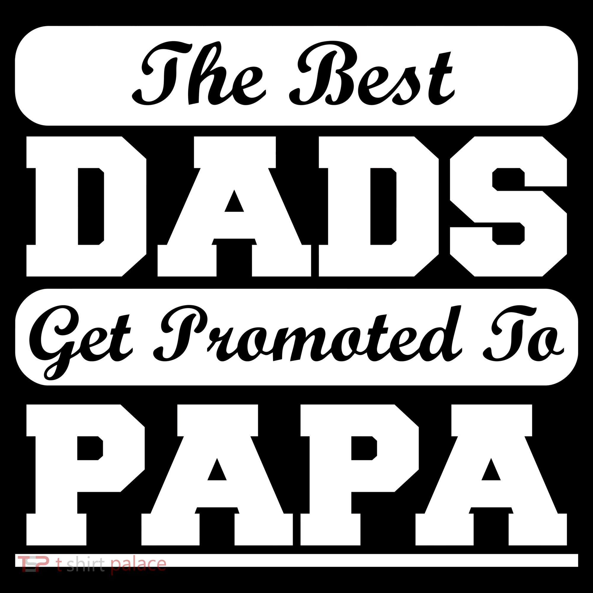 The Best Dads Get Promoted To Papa T-Shirt