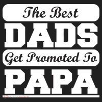 The Best Dads Get Promoted To Papa Hat thumb 2
