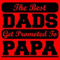 The Best Dads Get Promoted To Papa Santa Hat thumb 1