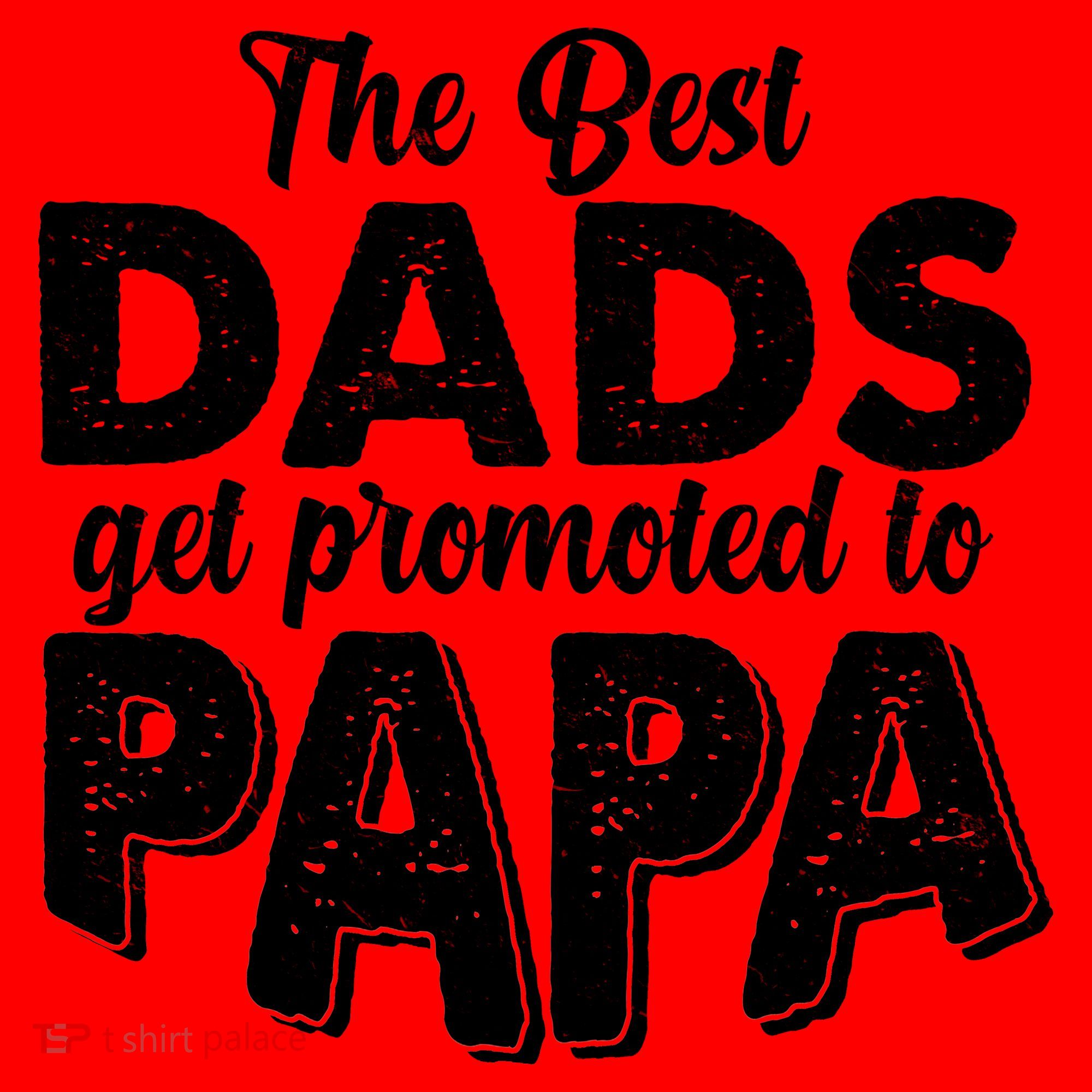 The Best Dads Get Promoted To Papa New Grandfather Santa Hat