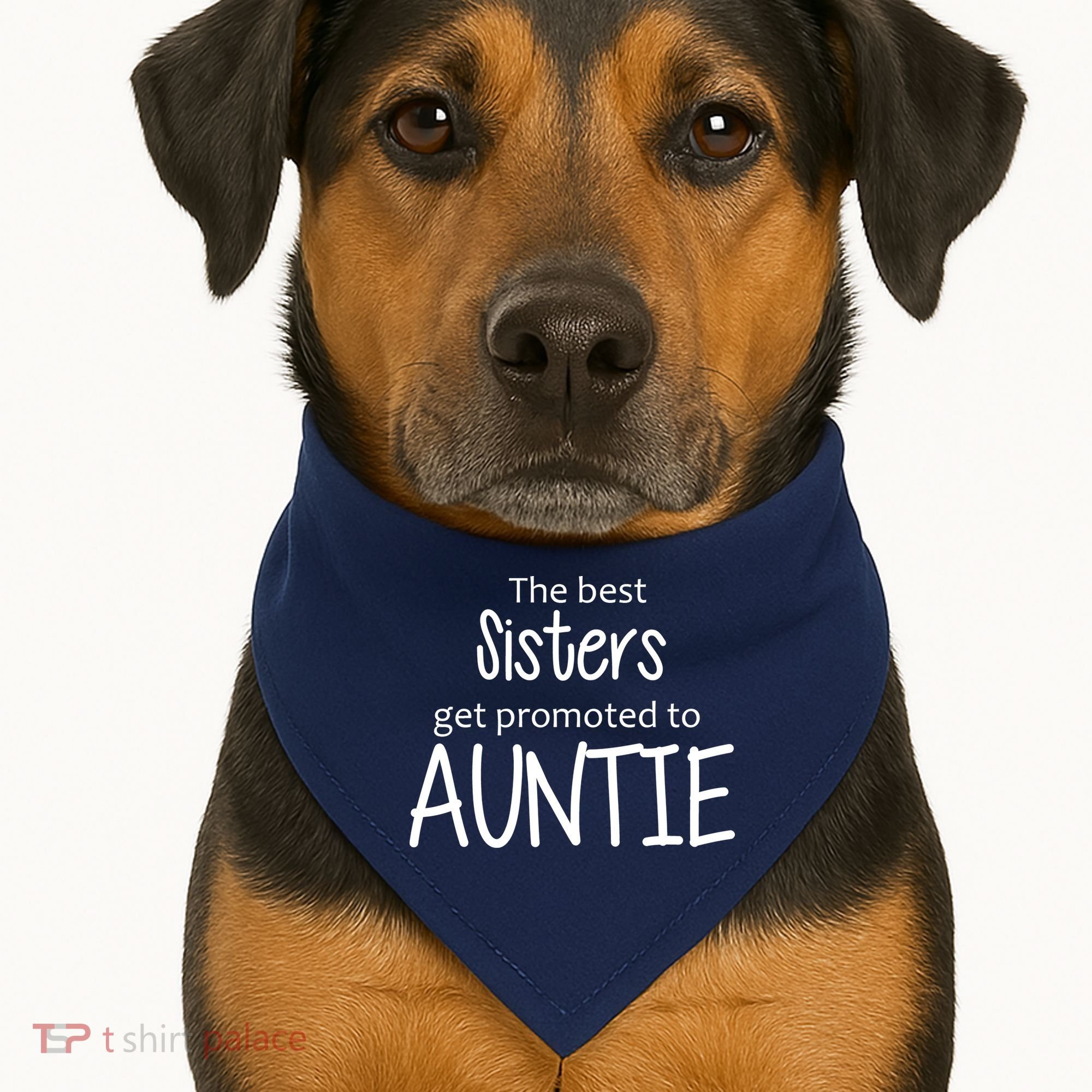 The Best Sisters Get Promoted To Auntie  USA-Made Doggie Bandana