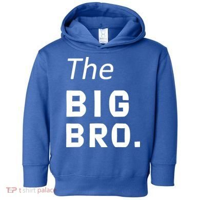 The Big Brother Toddler Hoodie