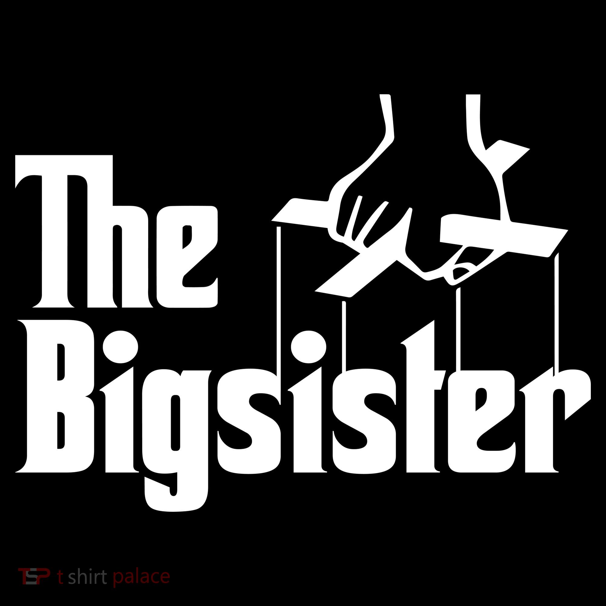 The Bigsister Coaster