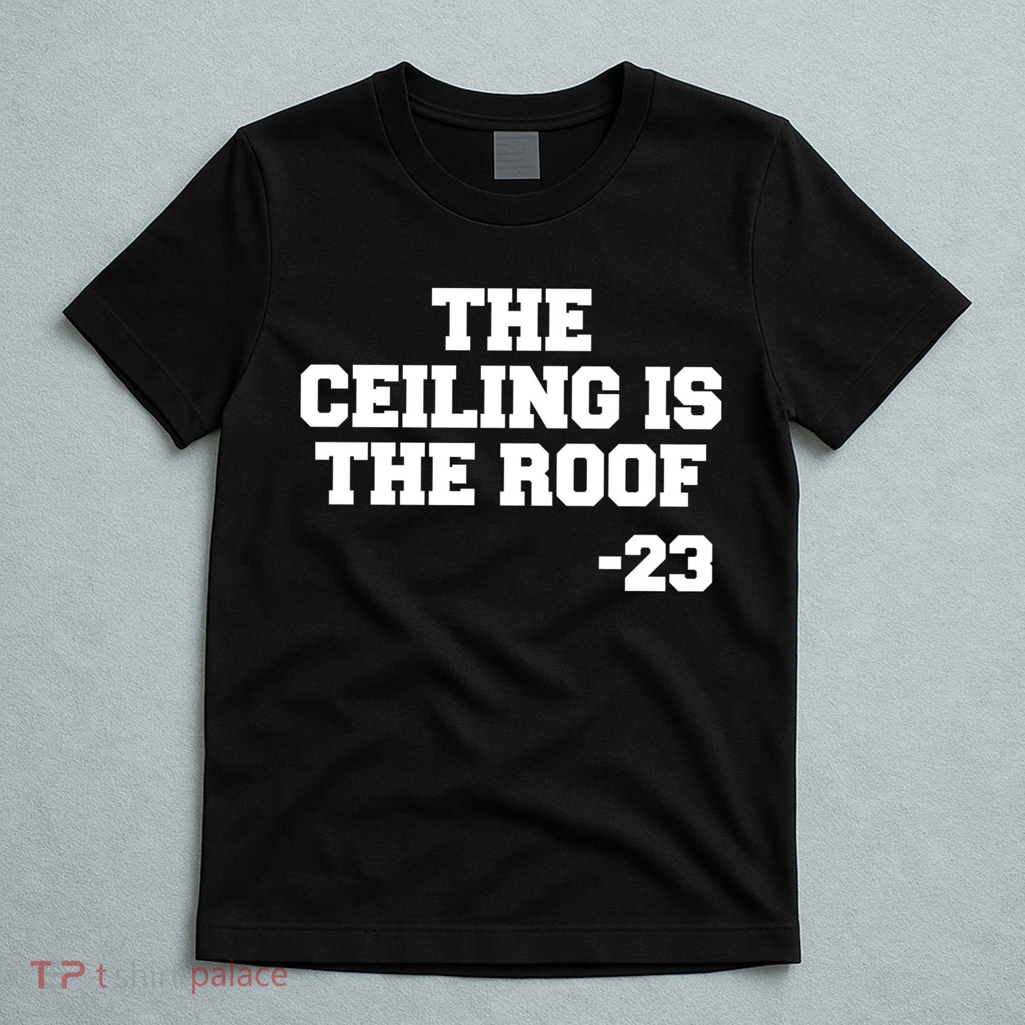 The Ceiling is the Roof 23 MJ College Text T-Shirt