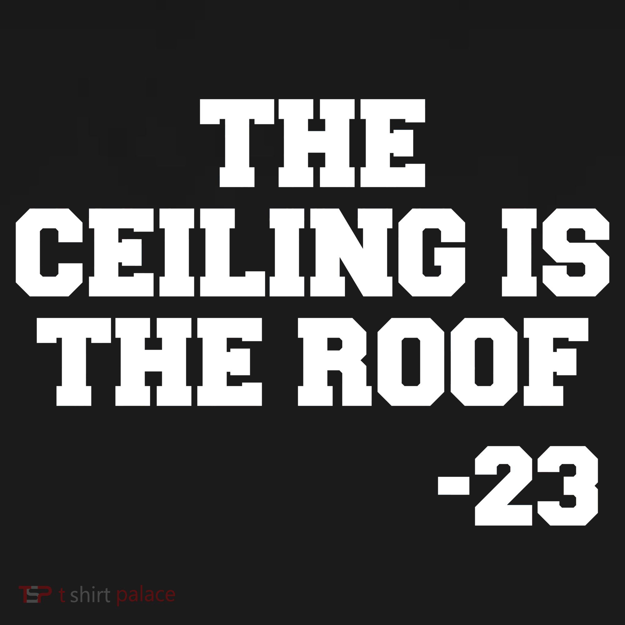 The Ceiling is the Roof 23 MJ College Text Button