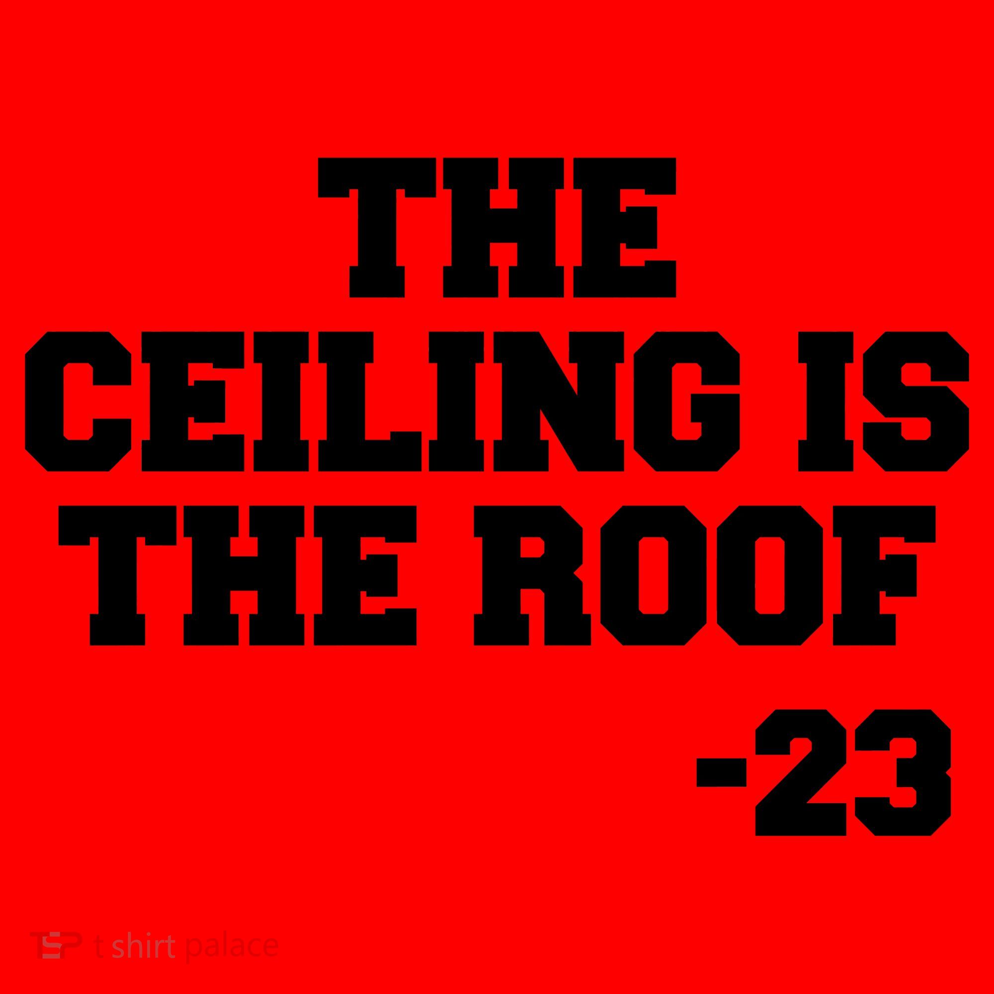 The Ceiling is the Roof 23 MJ College Text Santa Hat