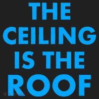 The Ceiling is the Roof MJ Funny Quote Tumbler thumb 3