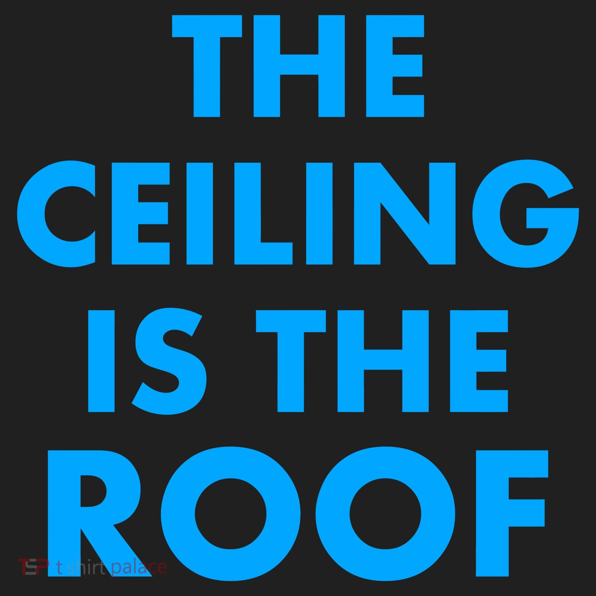 The Ceiling is the Roof MJ Funny Quote Tumbler