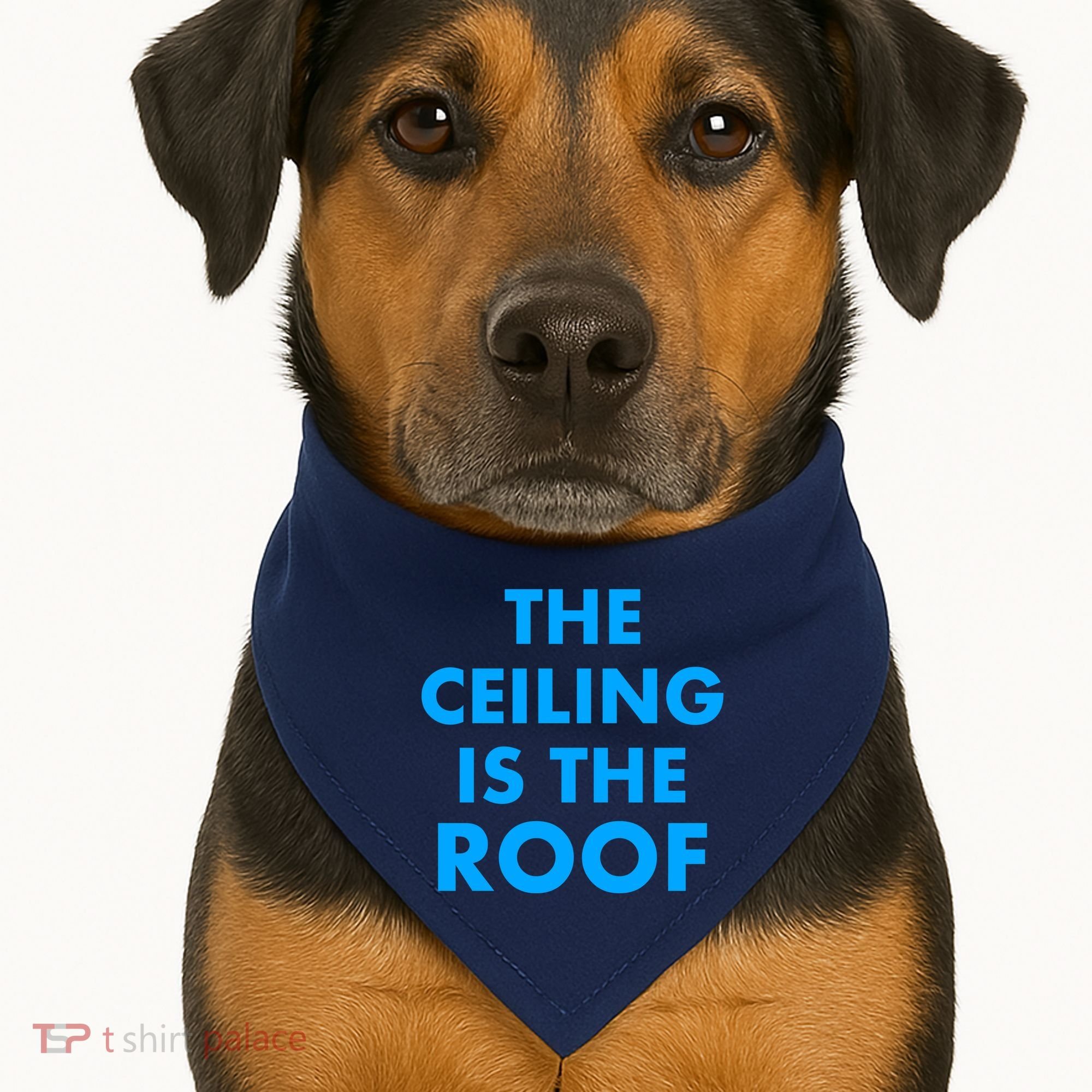 The Ceiling is the Roof MJ Funny Quote USA-Made Doggie Bandana