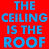 The Ceiling is the Roof MJ Funny Quote Santa Hat thumb 1