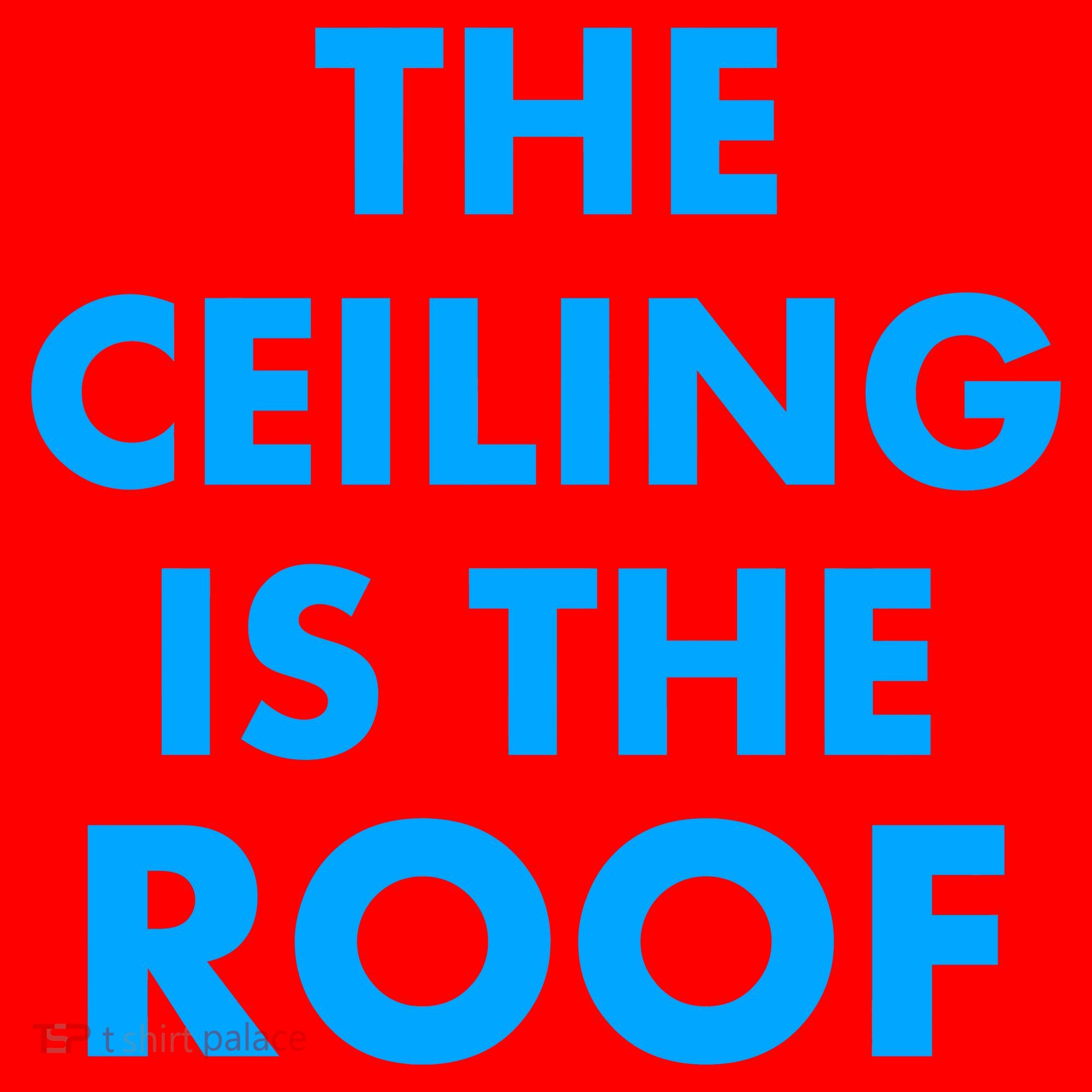 The Ceiling is the Roof MJ Funny Quote Santa Hat