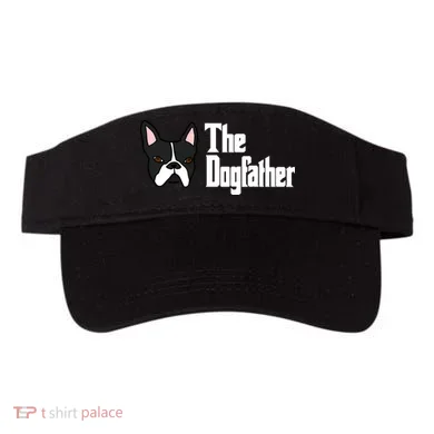 Visor