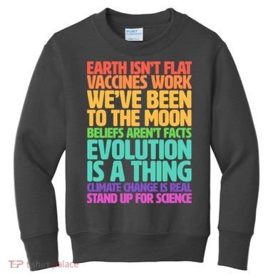 The Earth Isn't Flat Stand Up For Science Kids Sweatshirt