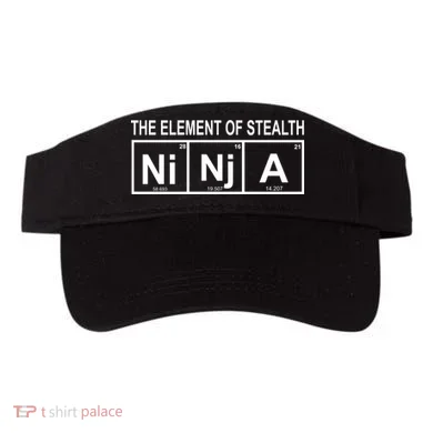 Visor