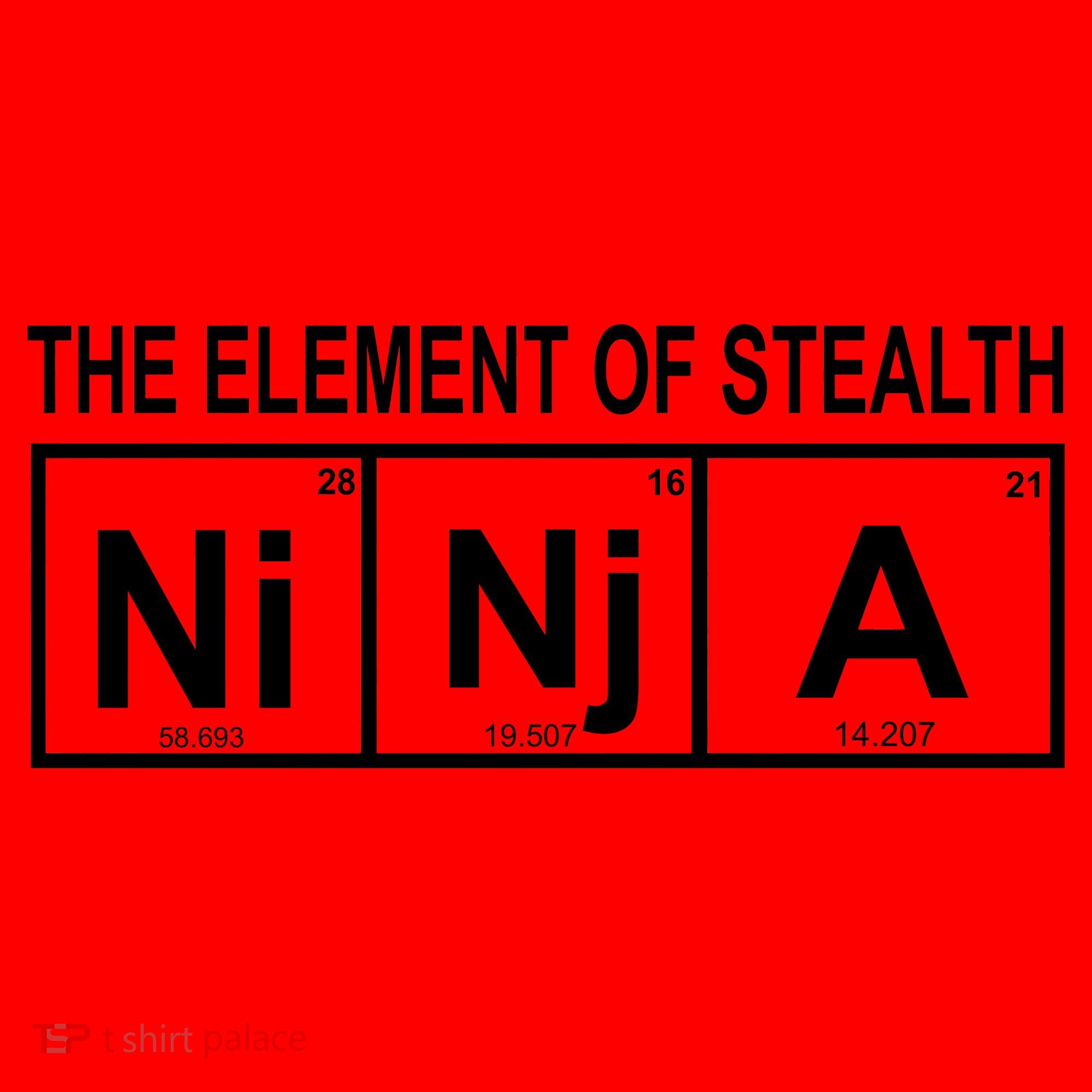 The Element of Stealth Ninja Santa Hat
