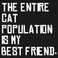 The Entire Cat Population Is My Best Friend Bucket Hat thumb 4