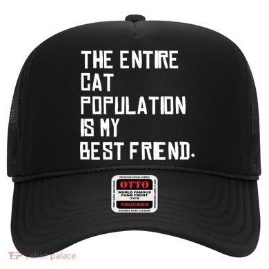 The Entire Cat Population Is My Best Friend Hat