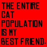 The Entire Cat Population Is My Best Friend Santa Hat thumb 1