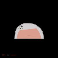 The Fly On Pence's Head Is His Only Black Friend Coffee Mug thumb 5