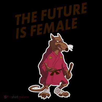 The Future Is Female Funny Splinter Meme 16oz Travel Tumbler