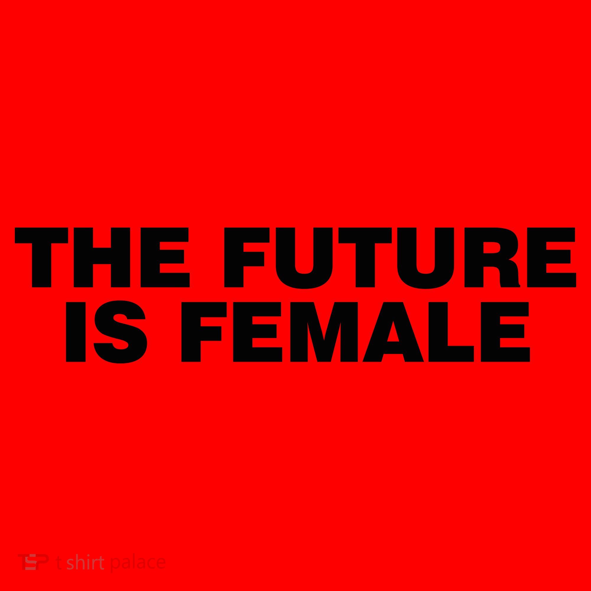 The Future Is Female Womens Rights Santa Hat
