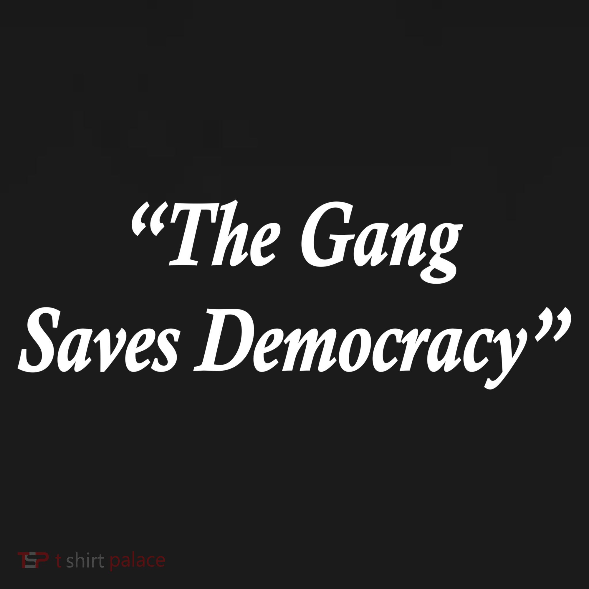 The Gang Saves Democracy Philadelphia Women's T-Shirt