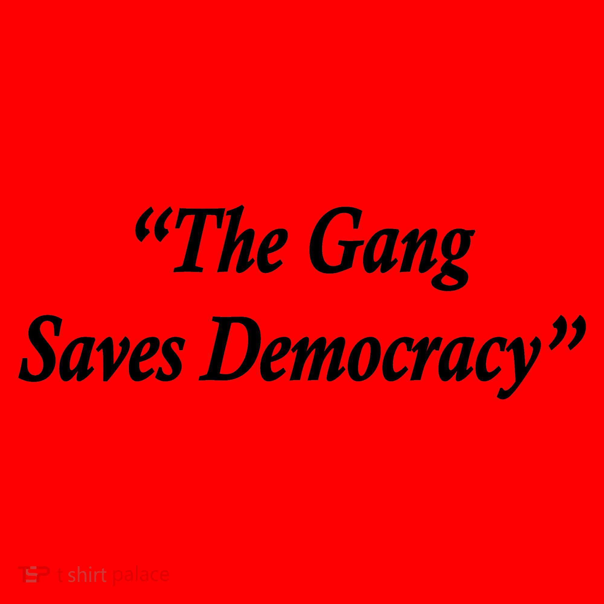 The Gang Saves Democracy Philadelphia Santa Hat