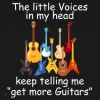 The Little Voices In My Head Say Get More Guitars Women's Hoodie thumb 2
