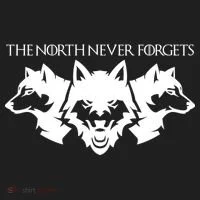 The North Never Forgets Tumbler thumb 3