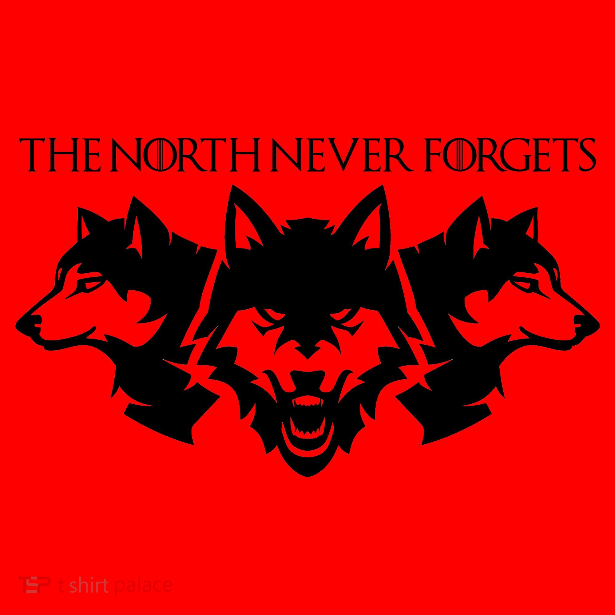 The North Never Forgets Santa Hat