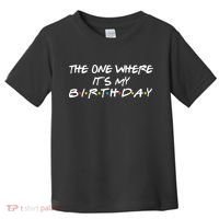 The One Where It's My Birthday Toddler T-Shirt thumb 0