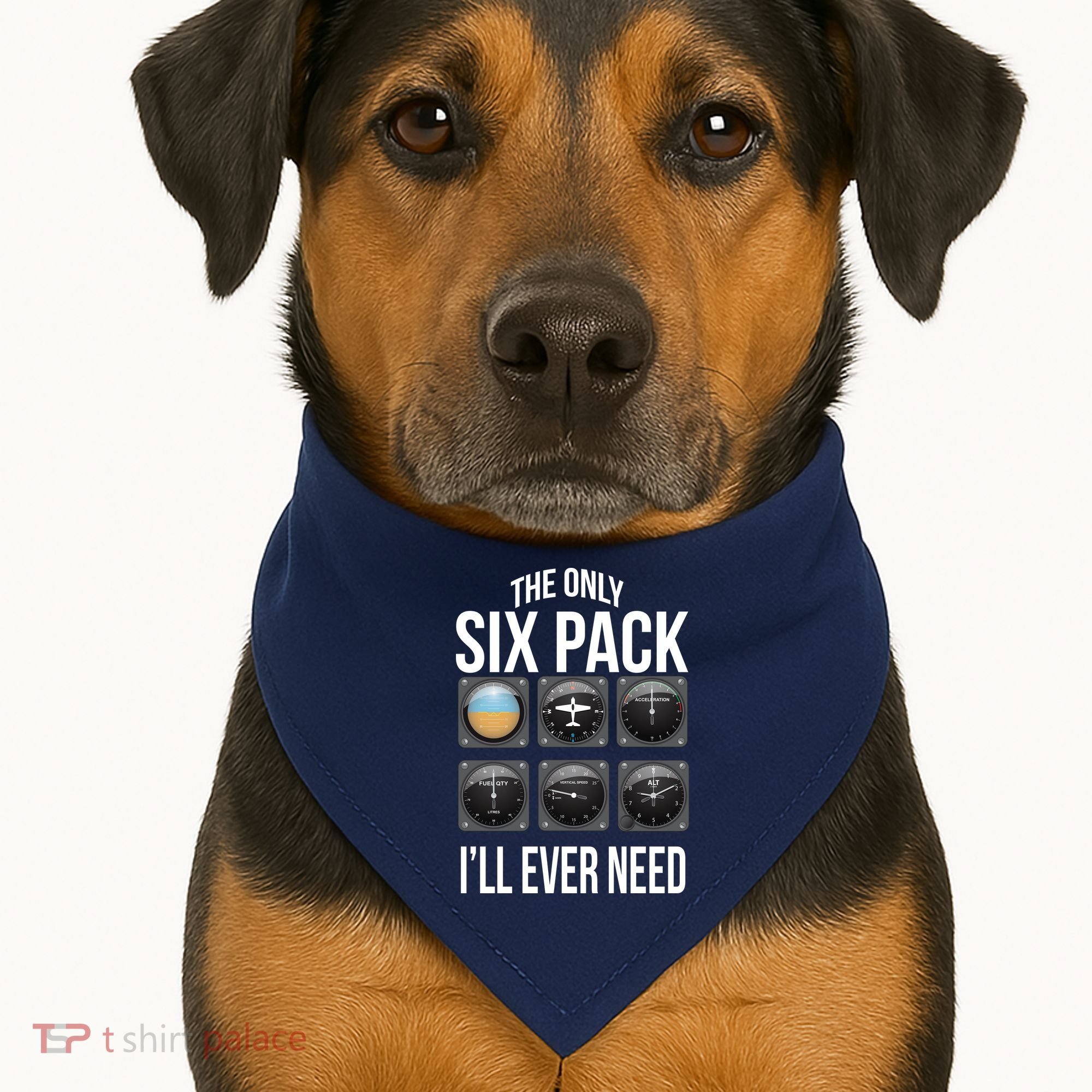 The Only Six Pack I'll Ever Need  USA-Made Doggie Bandana