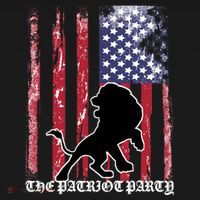 The Patriot Party USA Flag Coaster thumb 2
