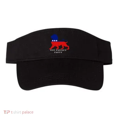 Visor