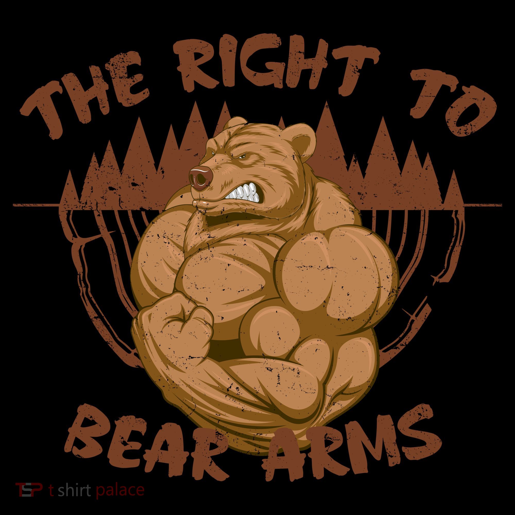 The Right To Bear Arms Kids Hoodie