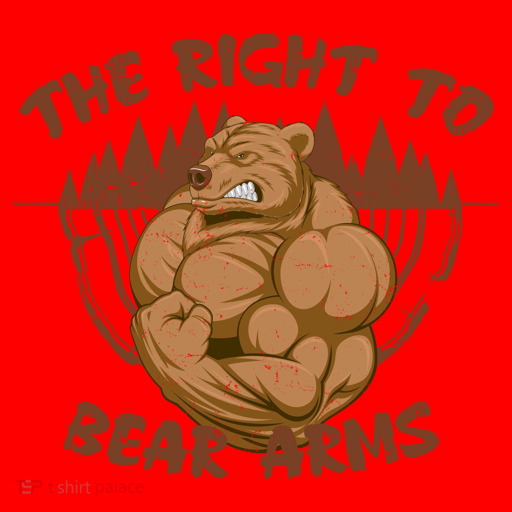 The Right To Bear Arms Santa Hat