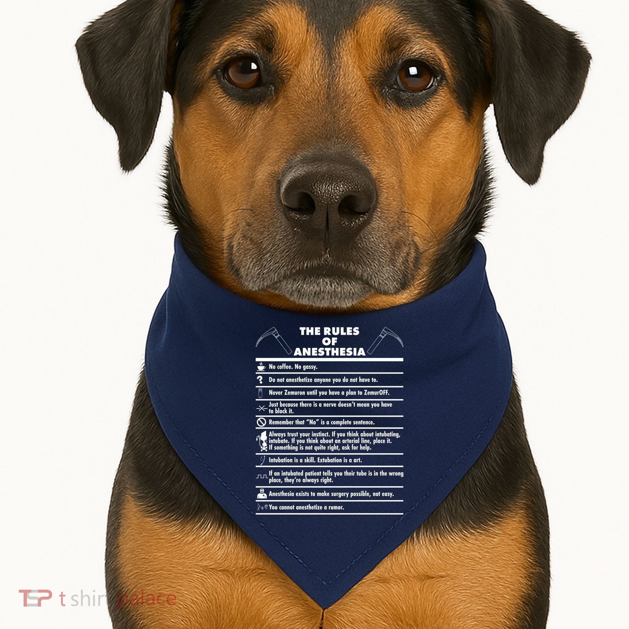 The Rules of Anesthesia USA-Made Doggie Bandana