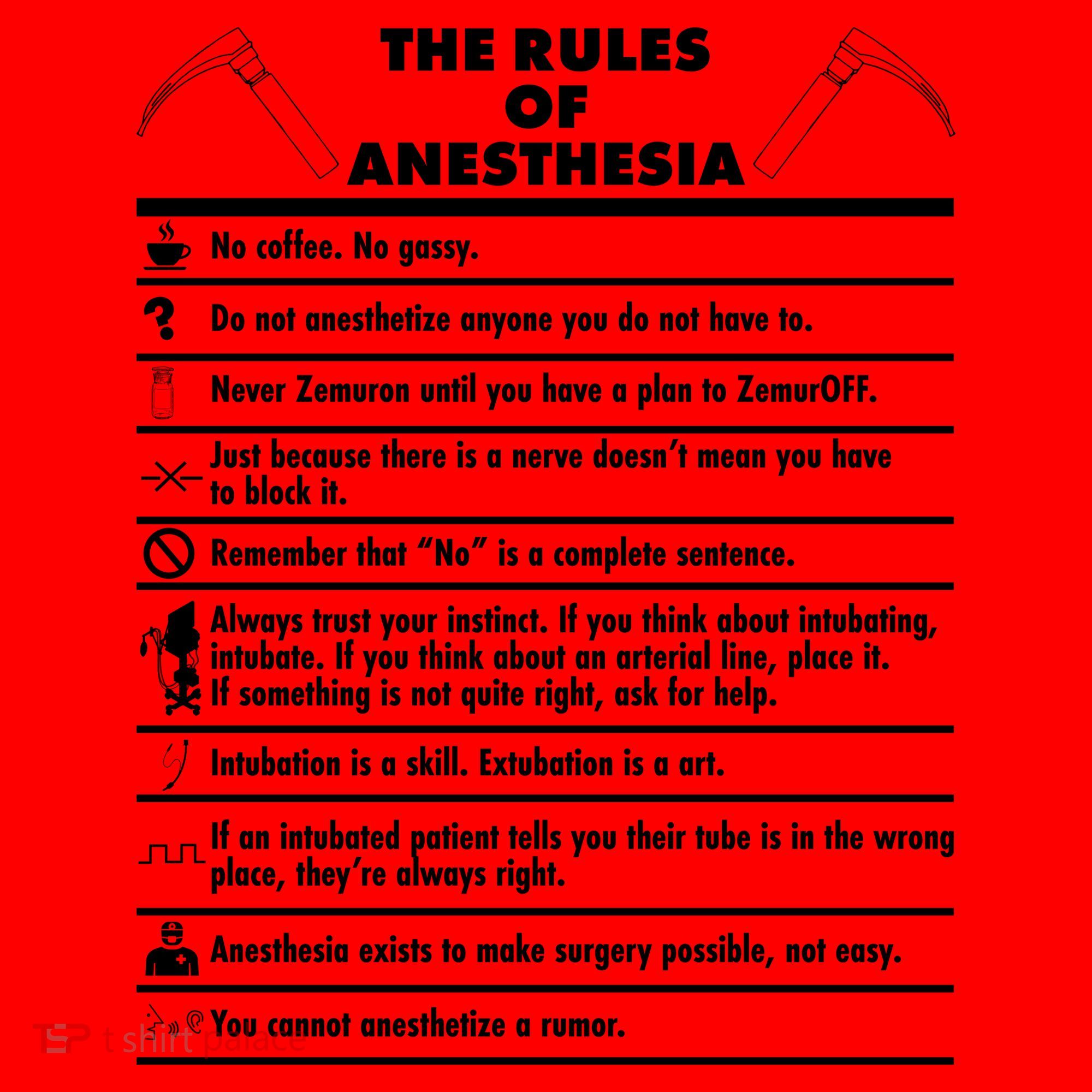 The Rules of Anesthesia Santa Hat