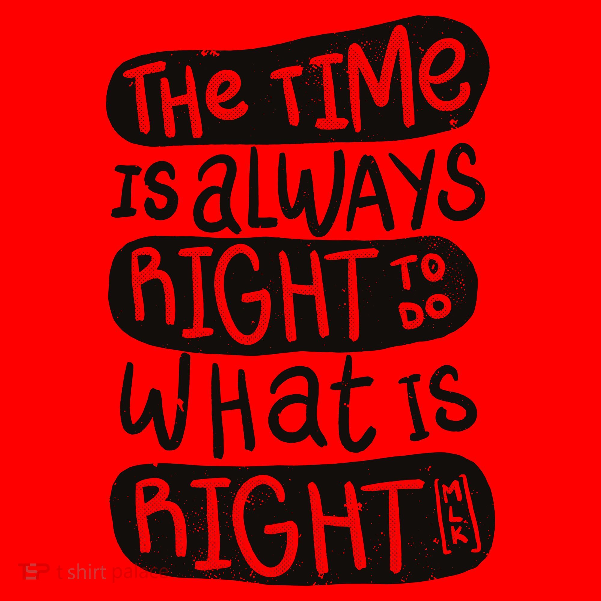 The Time is Always Right to Do What is Right Santa Hat
