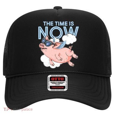 The Time Is Now Flying Pig Hat