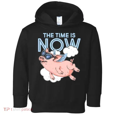 The Time Is Now Flying Pig Toddler Hoodie
