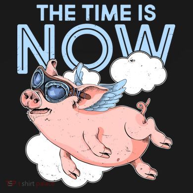 The Time Is Now Flying Pig Toddler Hoodie