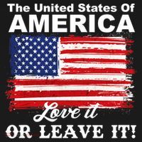The United States Of America Love It Or Leave It! Visor thumb 3