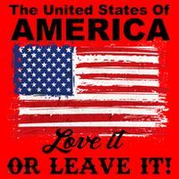 The United States Of America Love It Or Leave It! Santa Hat thumb 1