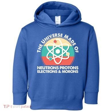 The Universe Made Of Neutrons Protons Electrons Morons Toddler Hoodie